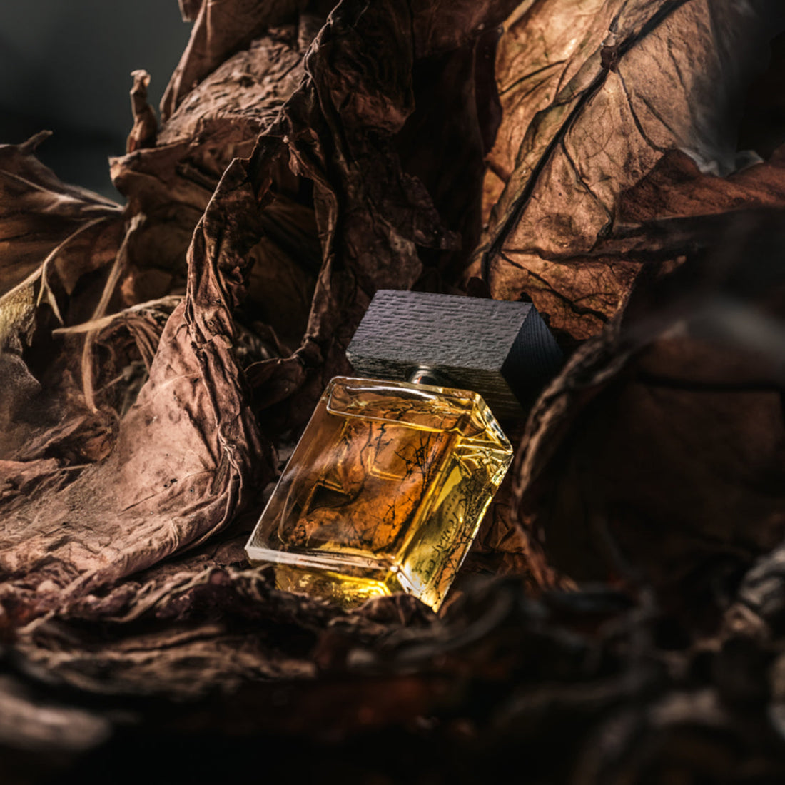 Sunken Tobacco: A review by Suzy Nightingale